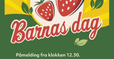 Barnas Dag